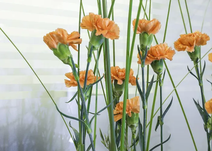 Western Leto Arena Ξενοδοχείο Dal (Akershus)